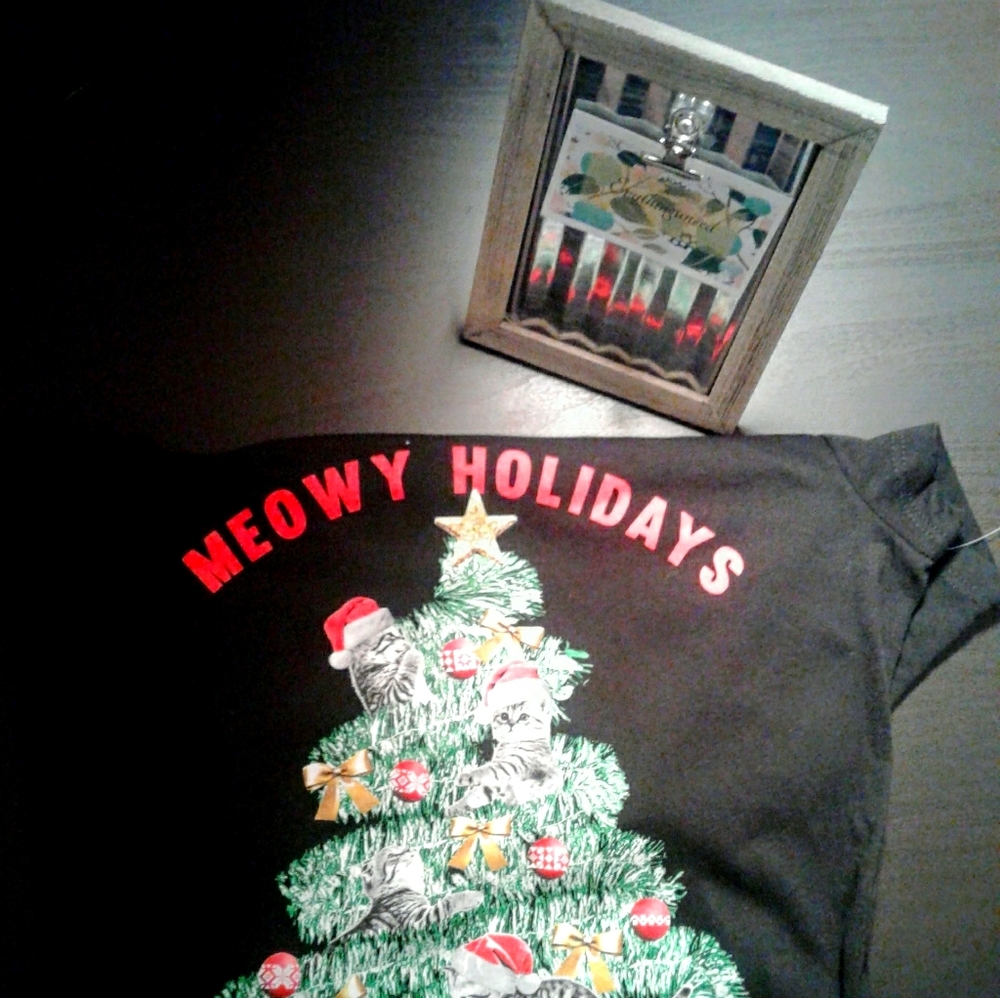 Holiday Time Meowy Christmas T Shirt